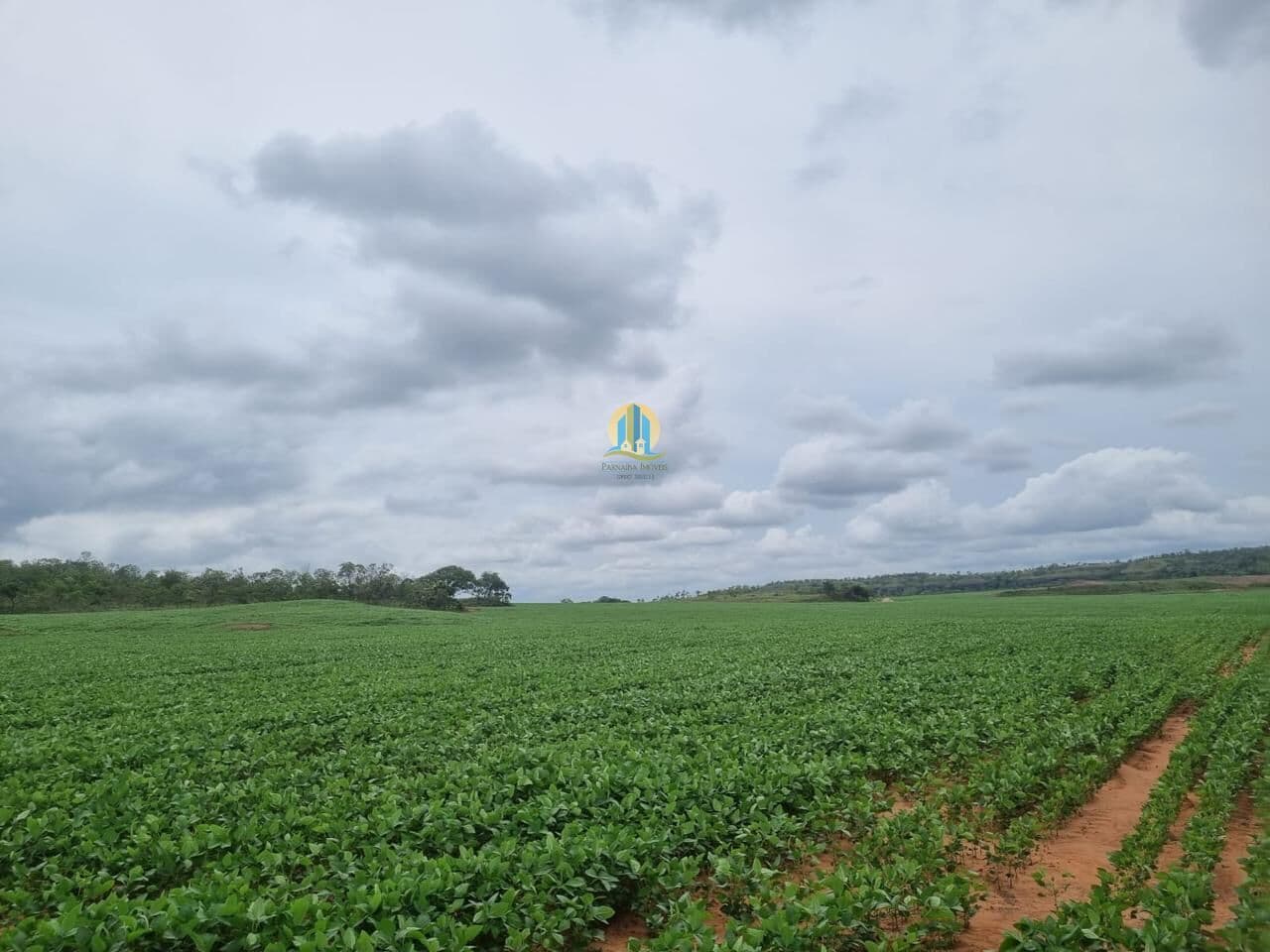 Fazenda á Venda !!