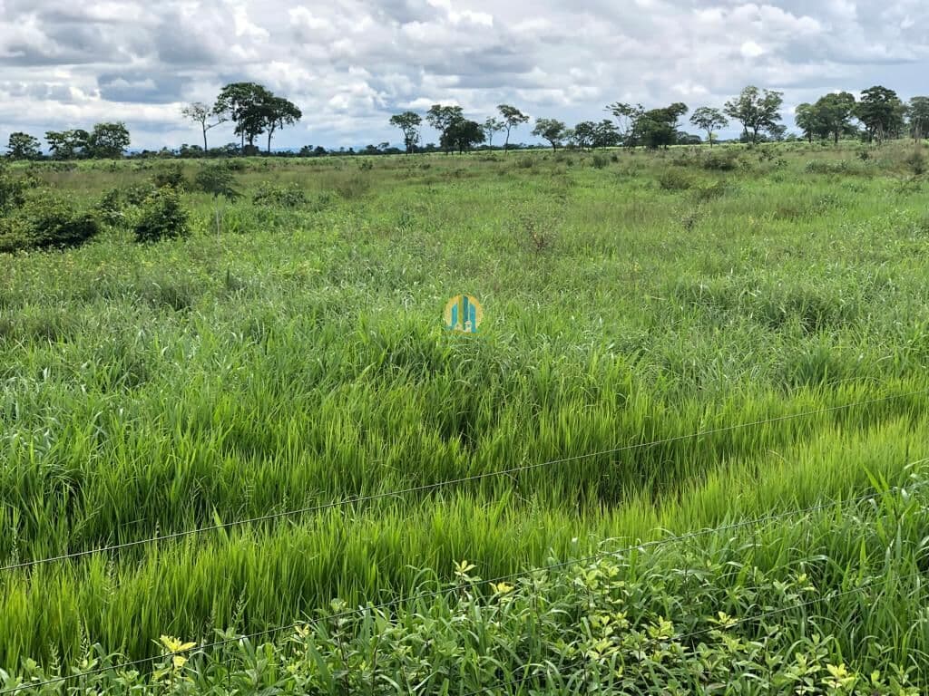 Fazenda/Sítios/Chácaras em Itarumã - Centro
