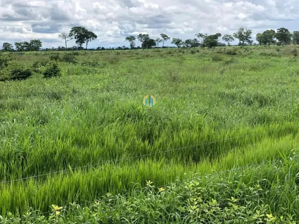 Fazenda/Sítios/Chácaras em Itarumã - Centro