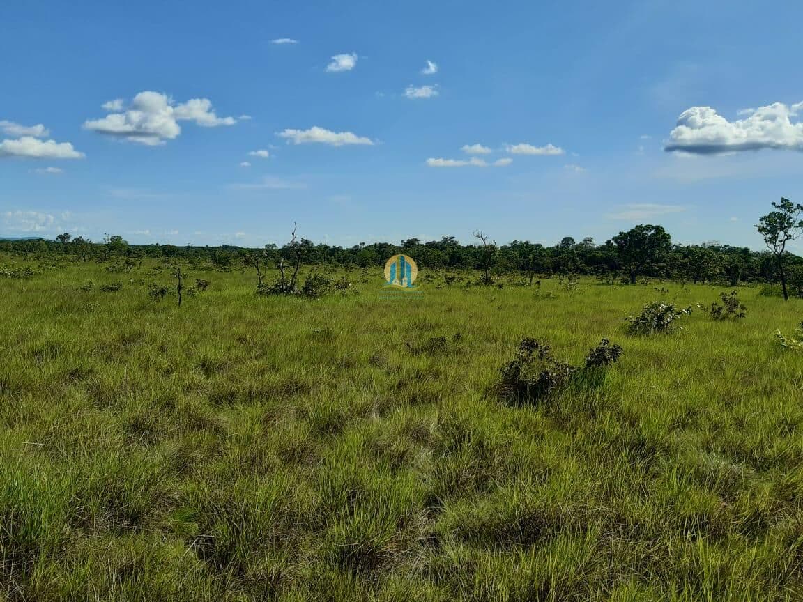 Fazenda/Sítios/Chácaras em Redenção - Santos Dumont