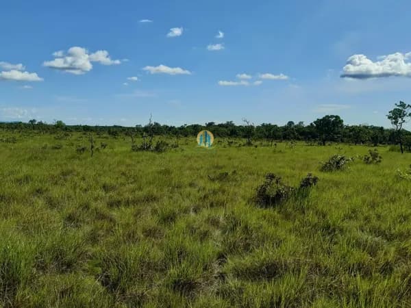 Fazenda/Sítios/Chácaras em Redenção - Santos Dumont