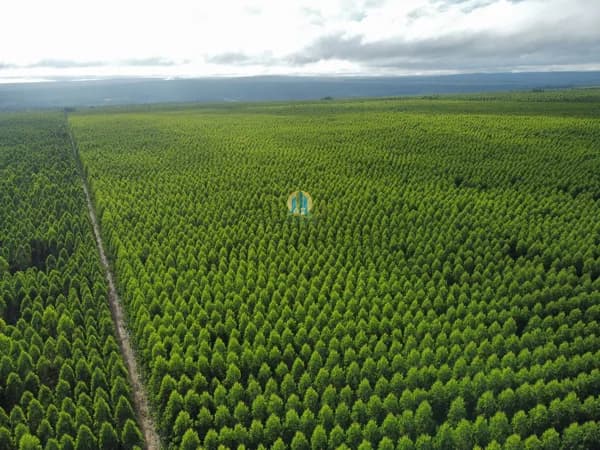 Fazenda á Venda em MG !