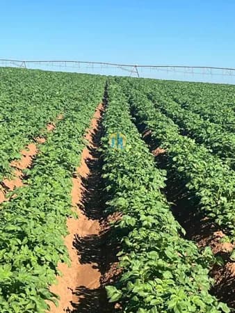Fazenda/Sítios/Chácaras em Franca - Centro