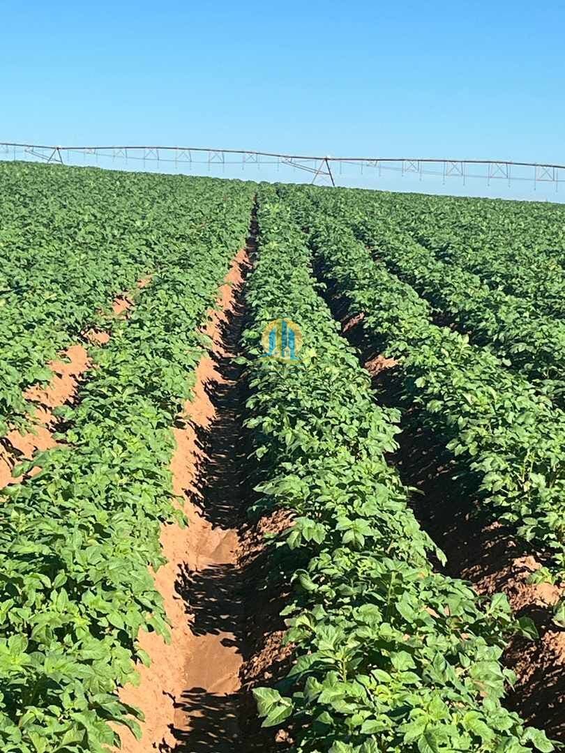 Fazenda/Sítios/Chácaras em Franca - Centro