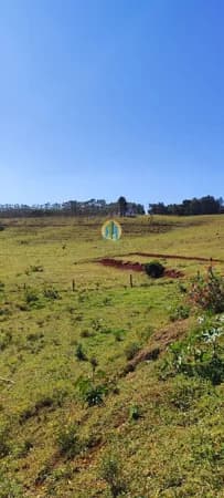 Fazenda/Sítios/Chácaras em Botucatu - Centro