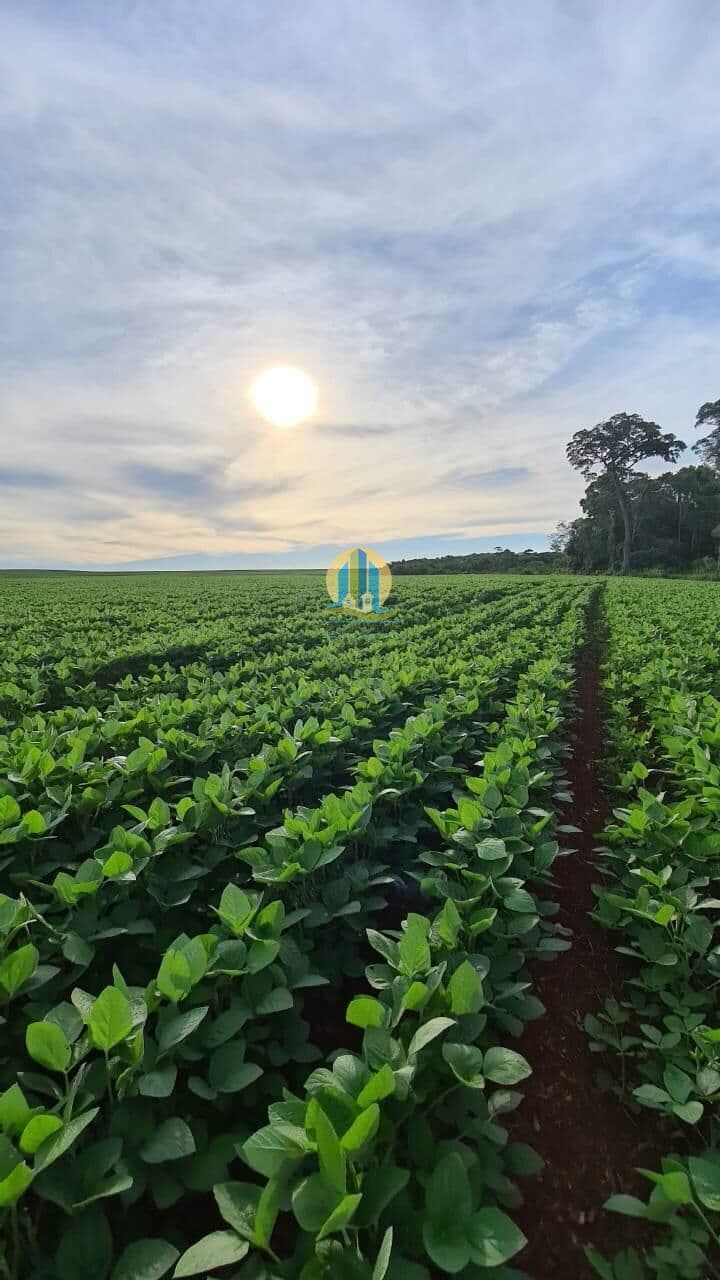 Fazenda á Venda