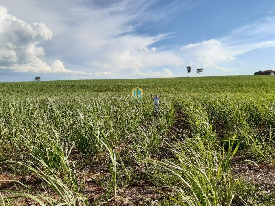 Fazenda/Sítios/Chácaras em Votuporanga - Cecap II