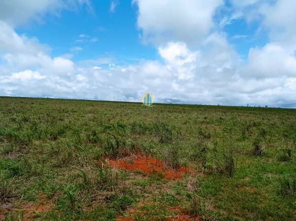 Fazenda/Sítios/Chácaras em Nova Ubiratã - Centro