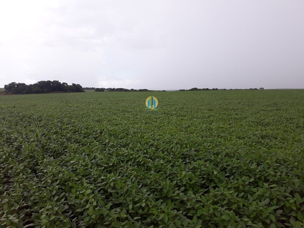 Fazenda/Sítios/Chácaras em Paraíso do Tocantins - Centro
