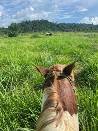 Fazenda/Sítios/Chácaras em Juruena - Centro