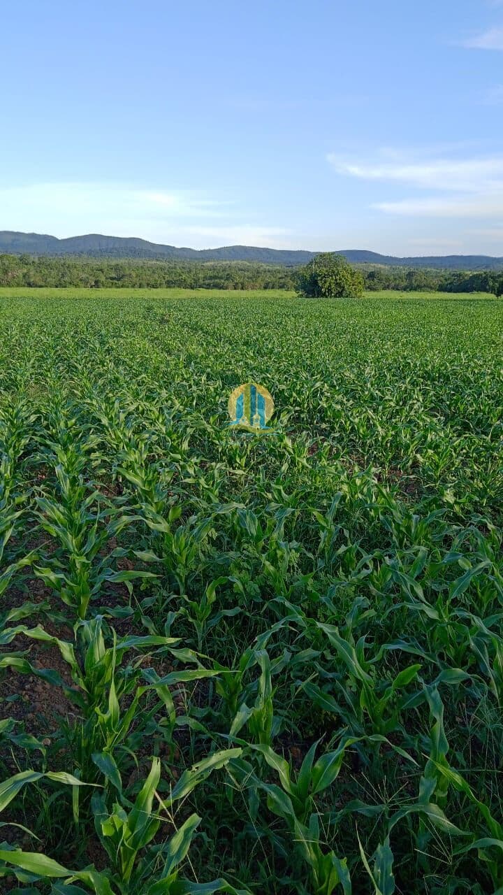Fazenda a venda !!