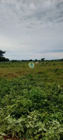 Fazenda/Sítios/Chácaras em Belém - Campina