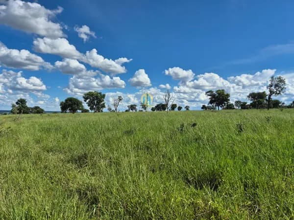 Fazenda/Sítios/Chácaras em Três Lagoas - Centro