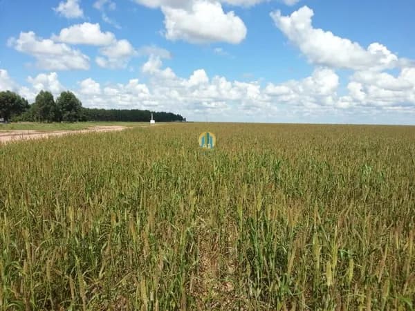 Fazenda/Sítios/Chácaras em Porangatu - Centro