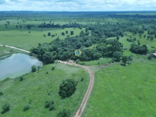 Fazenda/Sítios/Chácaras em Ananás - Centro