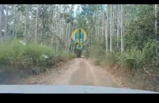 Fazenda á Venda !!