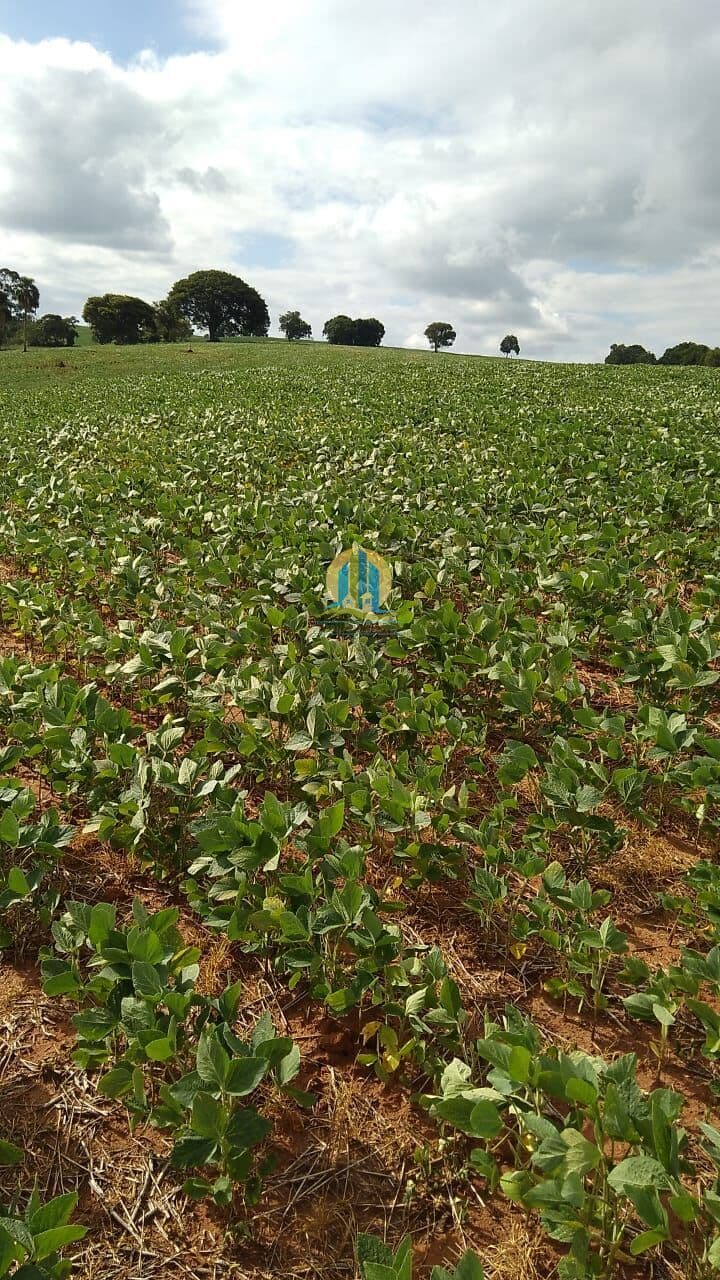 Fazenda/Sítios/Chácaras em Buri - Centro