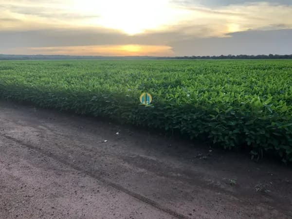 Fazenda á Venda no Maranhão !