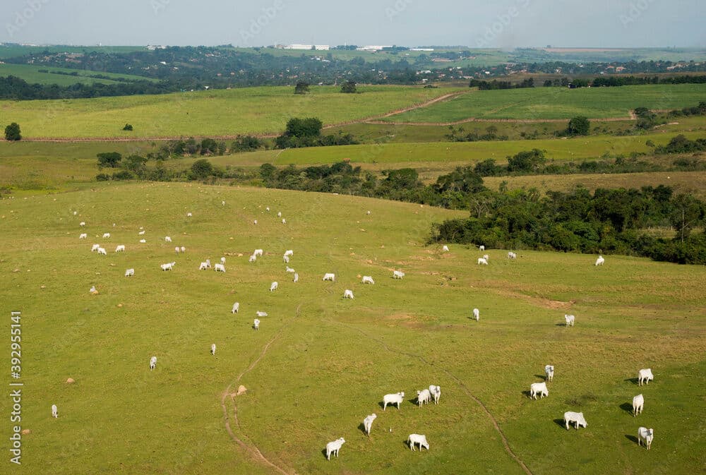 Fazenda em Ramilândia/PR