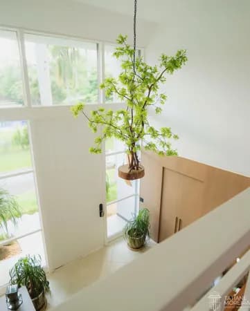 Casa Lago Frade Green