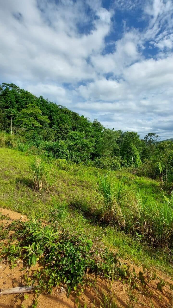 Área Rural de 20.538,65 metros quadrados a venda em Pomerode!