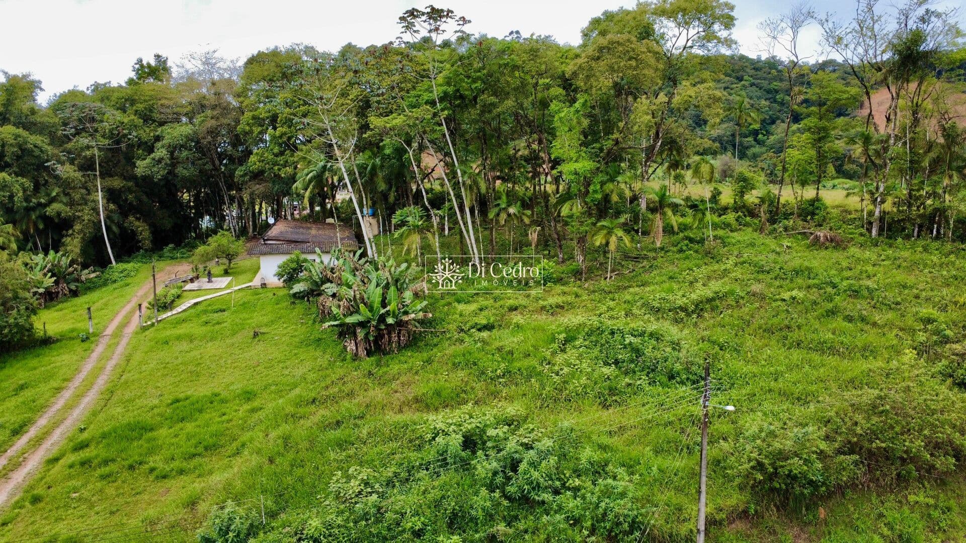 Lindo terreno com mais de 5.000 m2 em Rio dos Cedros