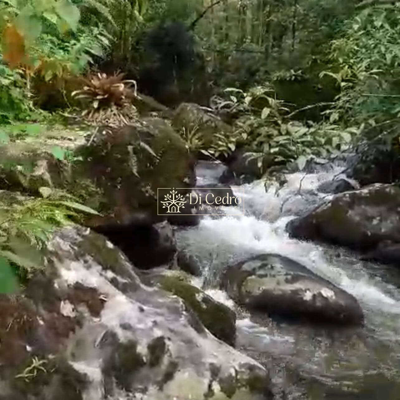 Terreno com mais de 260.000 m² a venda em Rio dos Cedros