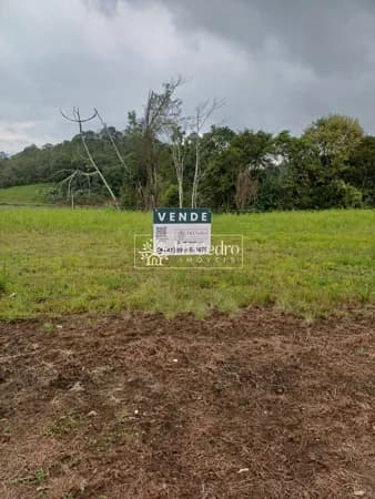 Lote/Terreno em Timbó - Padre Martinho Stein