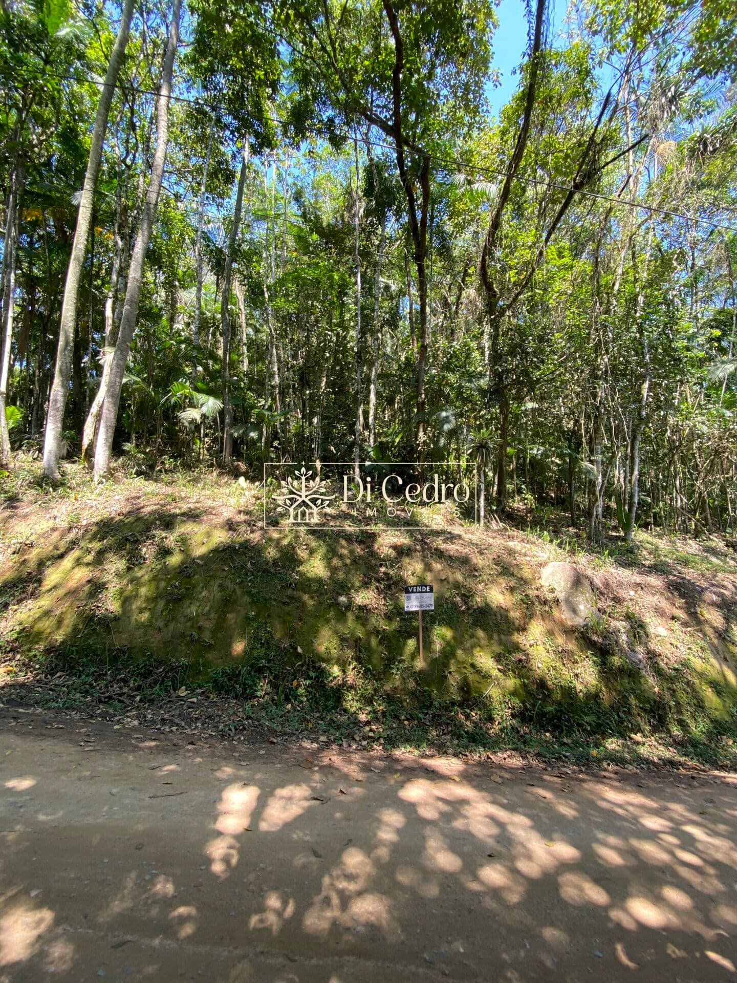 Terreno urbano com mais de 1.300 m2 em Rio dos Cedros