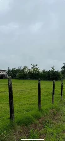 Lote/Terreno em Rio dos Cedros - Divinéia