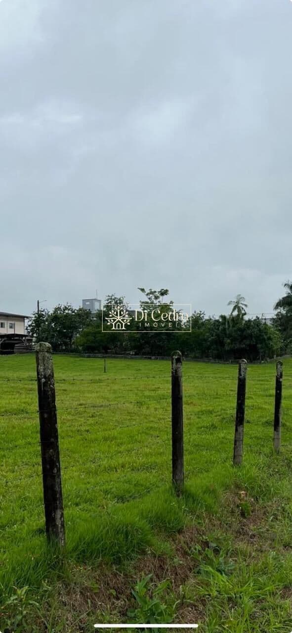 Lote/Terreno em Rio dos Cedros - Divinéia
