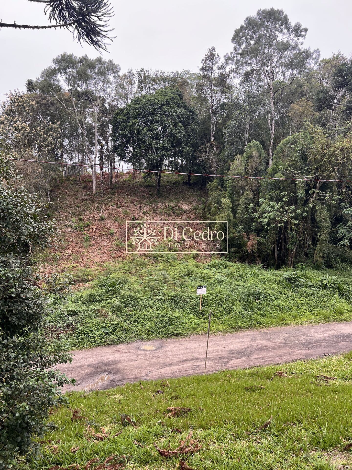 Terreno em Alto Cedros, pertinho da barragem do Pinhal