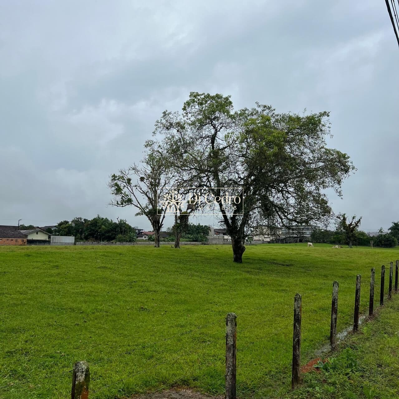 Lote/Terreno em Rio dos Cedros - Divinéia