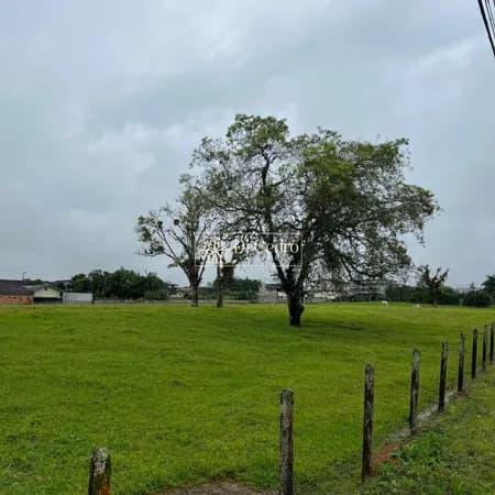Lote/Terreno em Rio dos Cedros - Divinéia