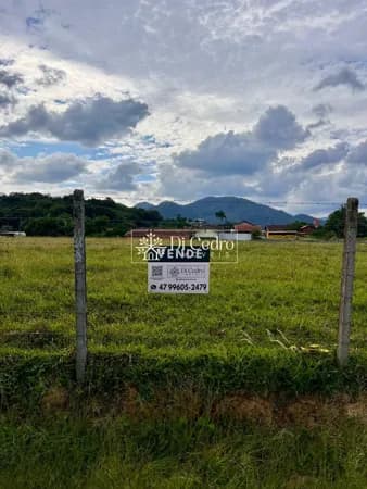 Terreno Amplo de 600m² em Rio dos Cedros -Localização Privilegiada