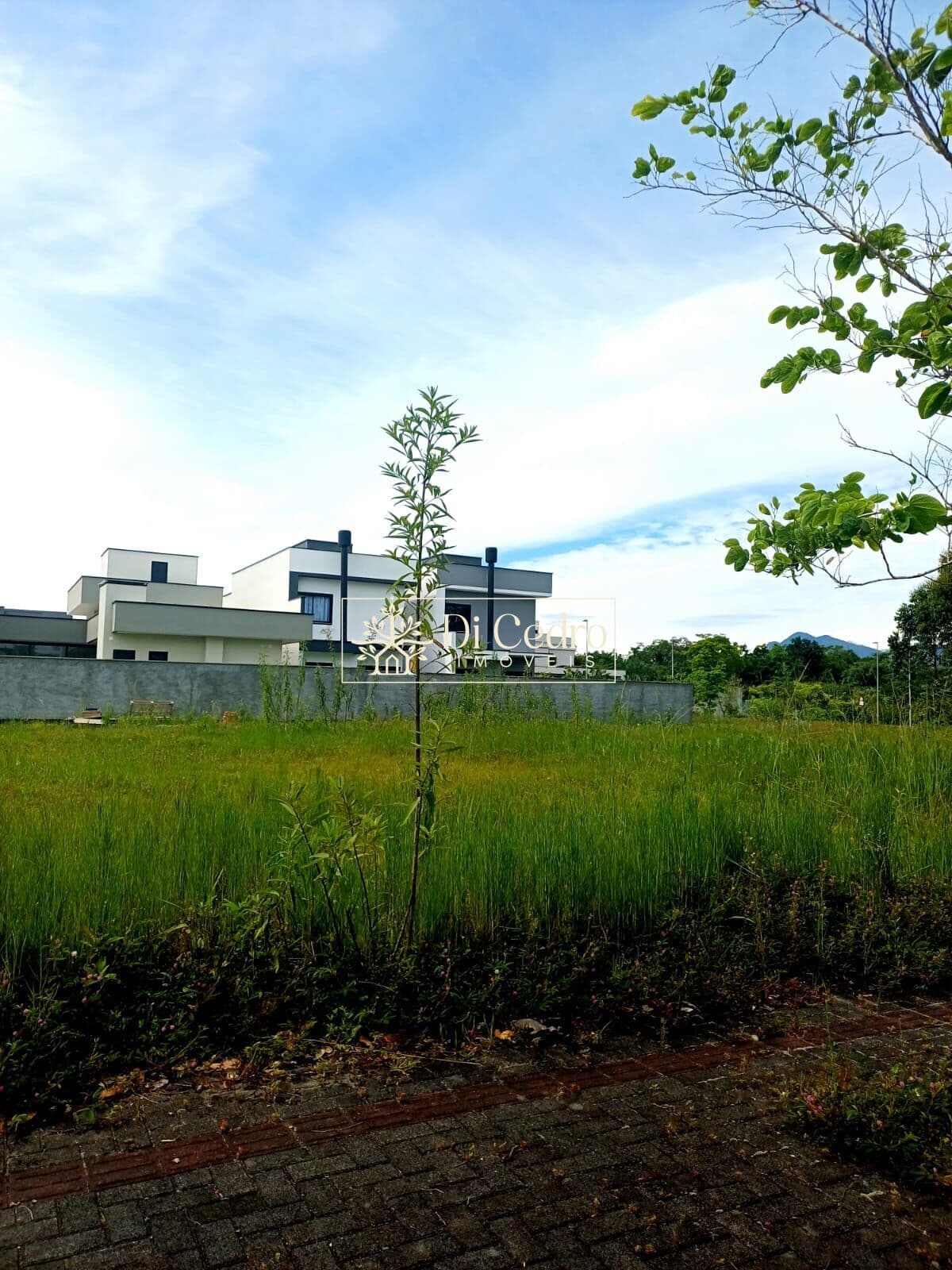 Lote/Terreno em Timbó - Quintino