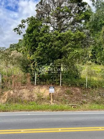 Terreno com 1.500 m² a venda em Rio dos Cedros, bairro Santo Antonio.