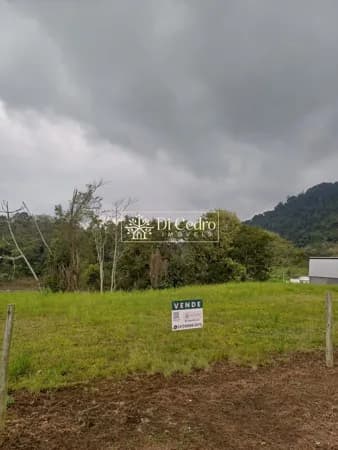 Lote/Terreno em Timbó - Padre Martinho Stein