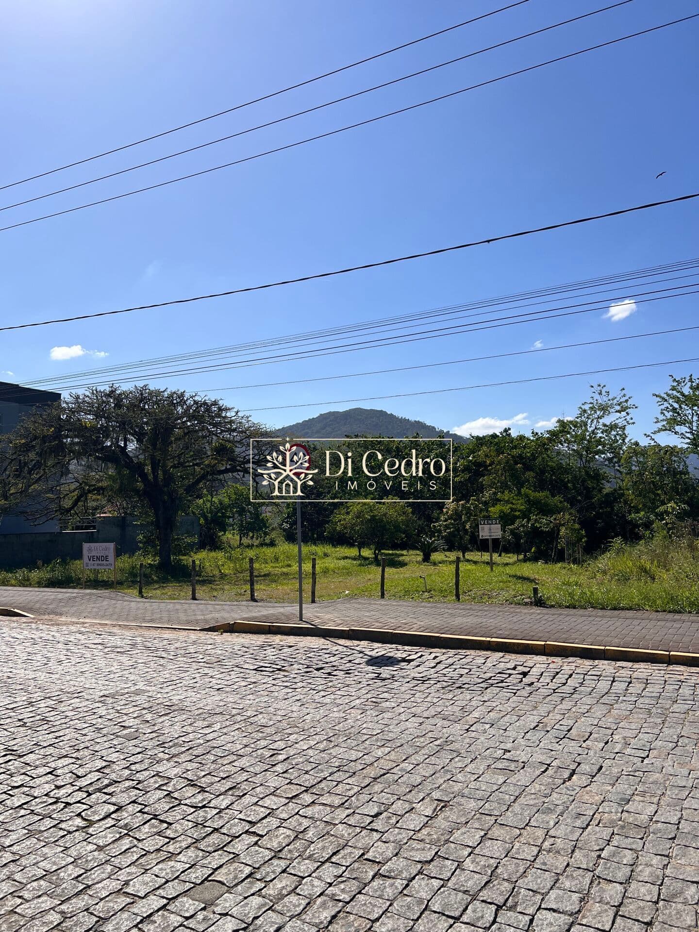 Terreno em frente ao Supermercado Campos em Rio dos cedros 594 m²