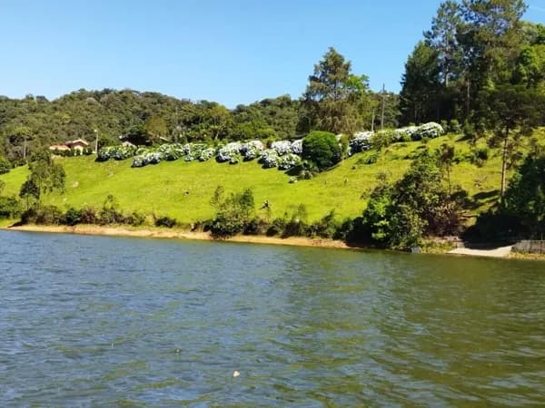 Terrenos "pé na água" na Barragem do Pinhal, Alto Cedros, Rio dos Cedros