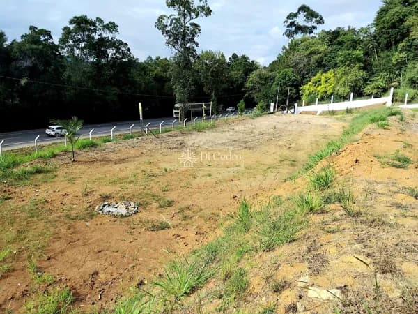 81 Metros de Frente para BR 470 | Terreno com Grande Potencial Comercial