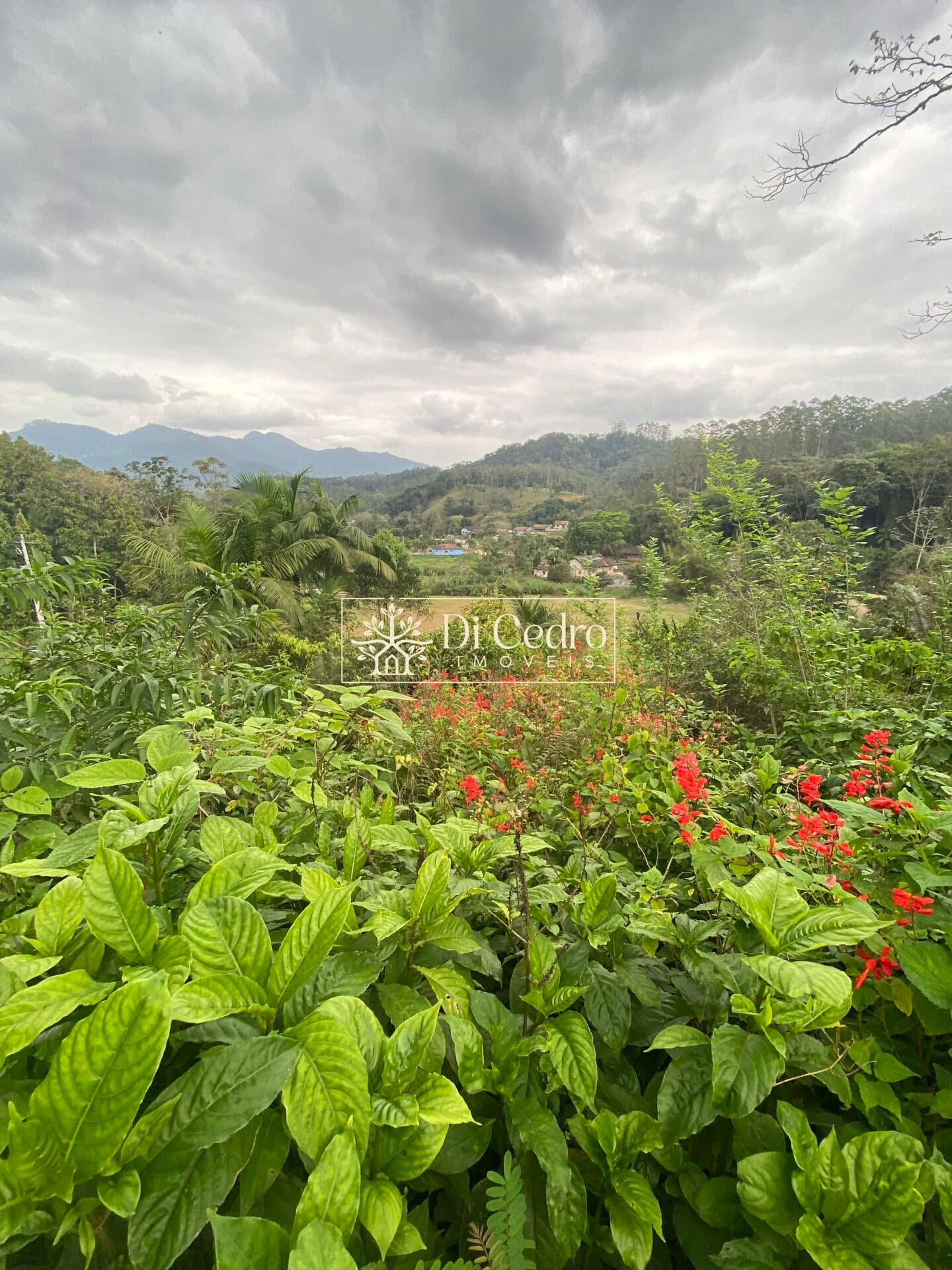 Terreno com linda vista em Pomerode SC