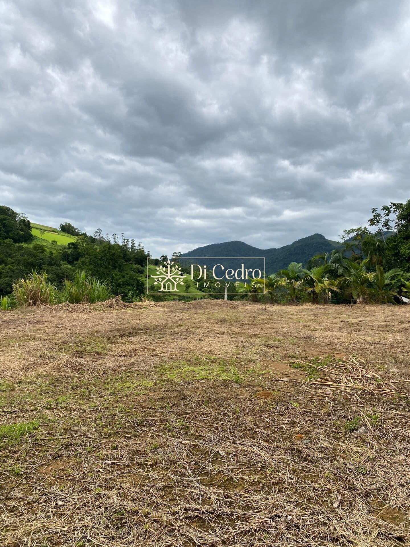Terreno amplo com linda vista em Rio dos Cedros