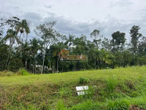 Lote/Terreno em Timbó - Das Nações