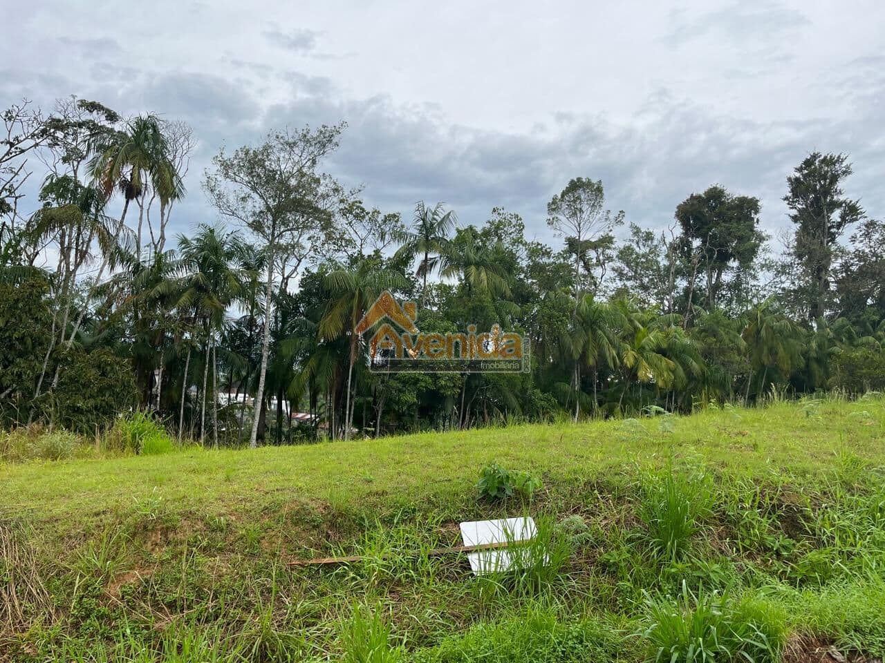 Lote/Terreno em Timbó - Das Nações