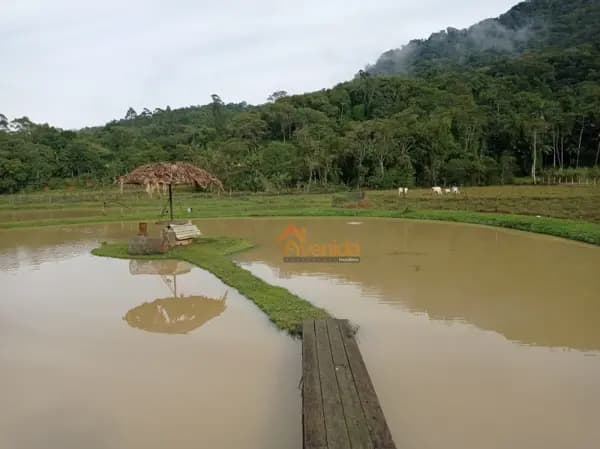 Chácara à venda no bairro Bairro Dona Clara em Timbó/SC