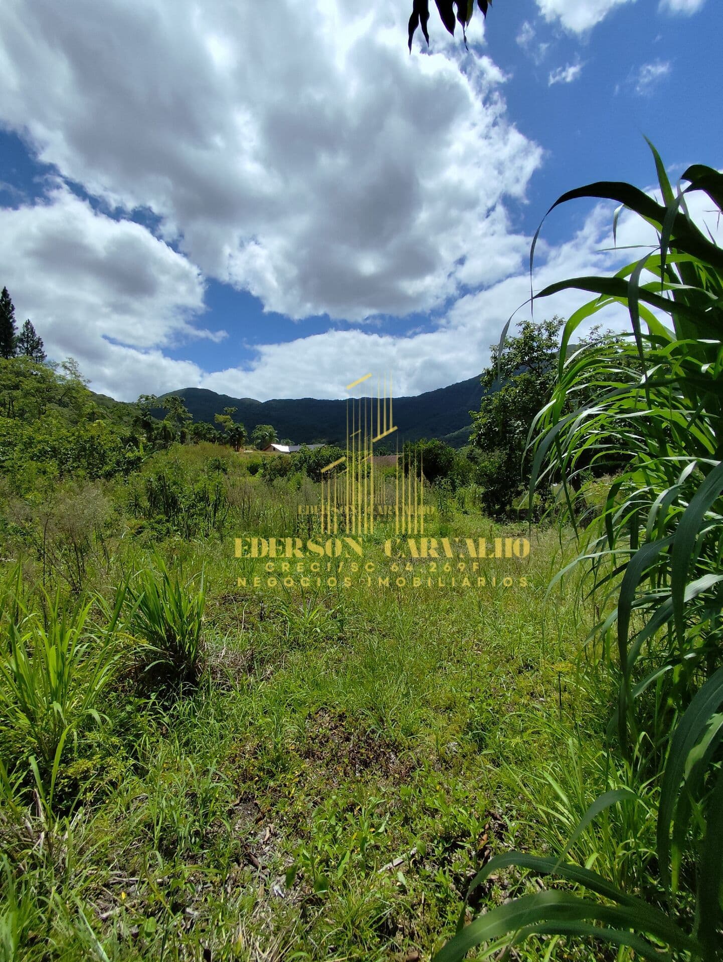 TERRENO PARA SITIO - BOTUVERÁ - 17.500M² - NEGOCIAÇÃO ENTRADA + PARCELAS C/ PROPRIETÁRIO