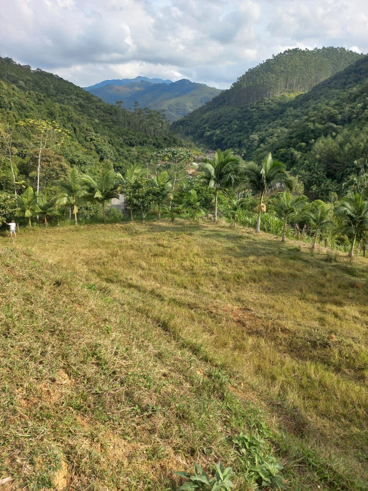 Lote/Terreno em Brusque - cedro grande