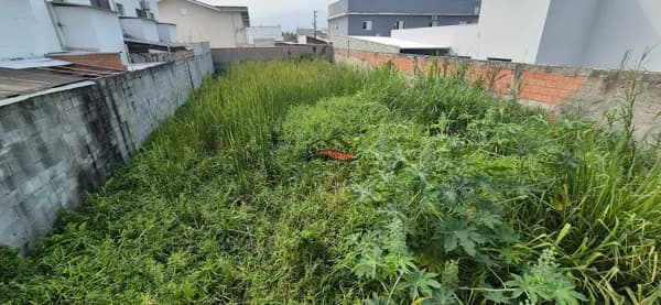 Terreno à venda, 360m², escritura definitiva, Pontal de Santa Marina, Caraguatatuba, Litoral Norte de São Paulo