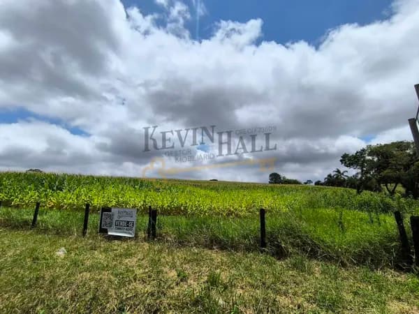 Área no Caminho do Vinho de 57.172,50 m²